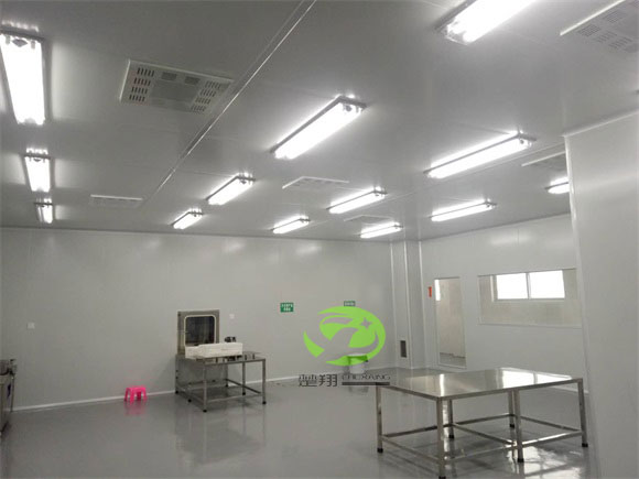 郴州福鹅食品91视频污黄APP下载车间装修工程(图4)